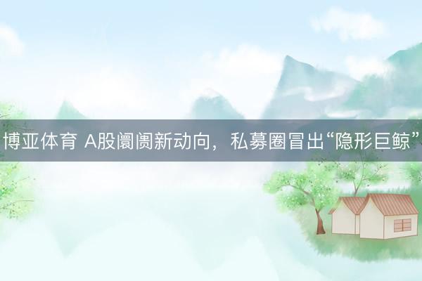 博亚体育 A股阛阓新动向，私募圈冒出“隐形巨鲸”