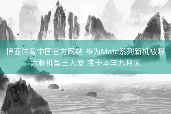 博亚体育中国官方网站 华为Mate系列新机被曝六款机型王人发 或于本年九月见