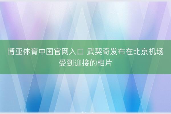 博亚体育中国官网入口 武契奇发布在北京机场受到迎接的相片