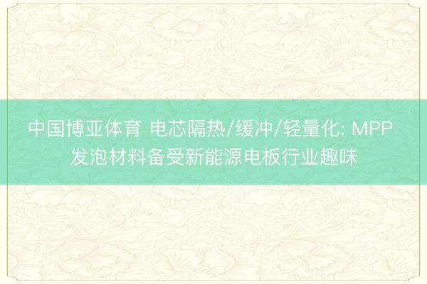 中国博亚体育 电芯隔热/缓冲/轻量化: MPP 发泡材料备受新能源电板行业趣味