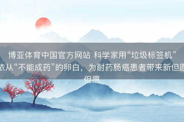 博亚体育中国官方网站 科学家用“垃圾标签机”依从“不能成药”的卵白，为耐药肠癌患者带来新但愿