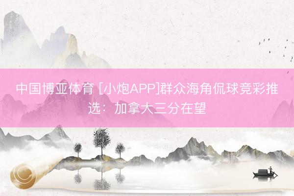 中国博亚体育 [小炮APP]群众海角侃球竞彩推选：加拿大三分在望